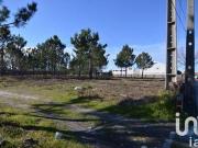 Terrenos Marinha Grande Leiria 2430 048 DS95749724