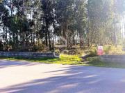 Terrenos Marinha Grande Leiria DS54300239