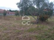 Terrenos Marinha Grande Leiria DS79204641