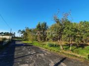 Terrenos Marinha Grande Marinha Grande DS96694927