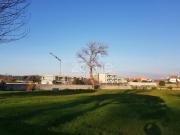 Terrenos Matosinhos Matosinhos DS94964897