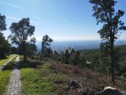 Terrenos Monchique Algarve DS85204330