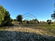 Terrenos Montijo Montijo 2985 000 DS87074494