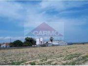 Terrenos Montijo Montijo DS95854342