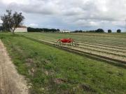 Terrenos Montijo Setúbal DLS78784489