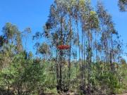 Terrenos Montijo Setúbal DS63550727