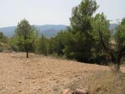 Terrenos Murcia Murcia 87877388