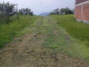 TERRENOS OAXTEPEC 110 MIL