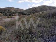 Terrenos Odemira Beja DS79782100