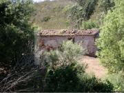 Terrenos Odemira Beja DS79782104