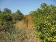 Terrenos Olhão Faro DS93288030