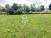 Terrenos Oliveira de Frades Viseu DS66629525