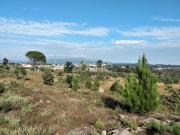 Terrenos Oliveira do Hospital Oliveira do Hospital...