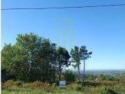 Terrenos Oliveira do Hospital Oliveira do Hospital...