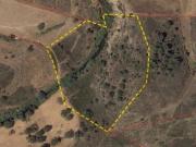 Terrenos Ourique Beja DS98931224