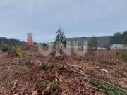 Terrenos Ovar Ovar DS87076144