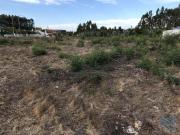 Terrenos Ovar Ovar DS95416835
