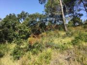 Terrenos Palamós Girona LS96320366