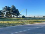 Terrenos Palmela Palmela 2950 680 DS92178596
