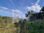 Terrenos Palmela Palmela DS87740554