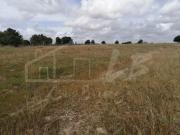 Terrenos Palmela Palmela DS94354791