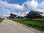 Terrenos Palmela Palmela DS97121607