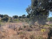 Terrenos Palmela Setúbal 2950 122 DS95081706