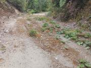 TERRENOS PARQUE TEPUHUICO,CHONCHI