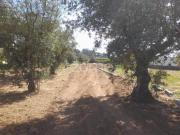 Terrenos Pombal Pombal DS89342290