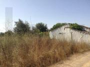 Terrenos Portalegre Portalegre DS90016143
