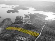 Terrenos Portel Évora DS73076579