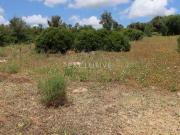 Terrenos Portimão Faro DS90537846