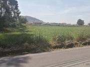 Terrenos Póvoa de Varzim Porto DS94289532