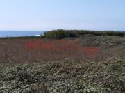 Terrenos Póvoa de Varzim Póvoa de Varzim DS95693175