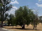 Terrenos Premium en Venta, Morelia – ¡Inversión Segura!...