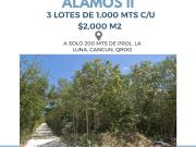 Terrenos prop. privada en zona residencial, Canc?n Terrenos prop. privada en zona residencial, Canc?n