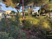 Terrenos Quinta Do Lago Faro DLS89703860