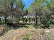 Terrenos Quinta do Lago FARO DS90768898