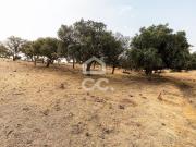 Terrenos Reguengos de Monsaraz Évora DS93982752