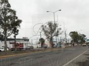 Terrenos Renta Victoria 40 TR 2491