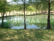 Terrenos Residenciales En Venta, Allende Nuevo León,...