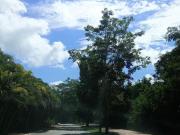 Terrenos residenciales en venta en el Yucatán Country Club