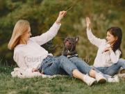 Terrenos residenciales en venta en Lomas Verdes