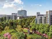 Terrenos residenciales en venta en Lomas Verdes