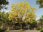 Terrenos Residenciales Premium en Preventa Zona Diamante...