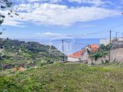 Terrenos Ribeira Brava Ilha da Madeira DS86681260
