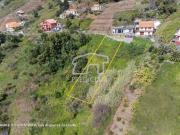 Terrenos Ribeira Brava Ilha da Madeira DS86681420