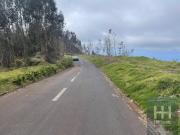 Terrenos Ribeira Brava Ribeira Brava 9350 050 DS87047279