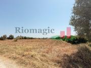 Terrenos rsticos Almoster*RIOMAGIC