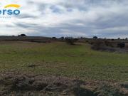 Terrenos Rústicos a la Venta: Oportunidades para...